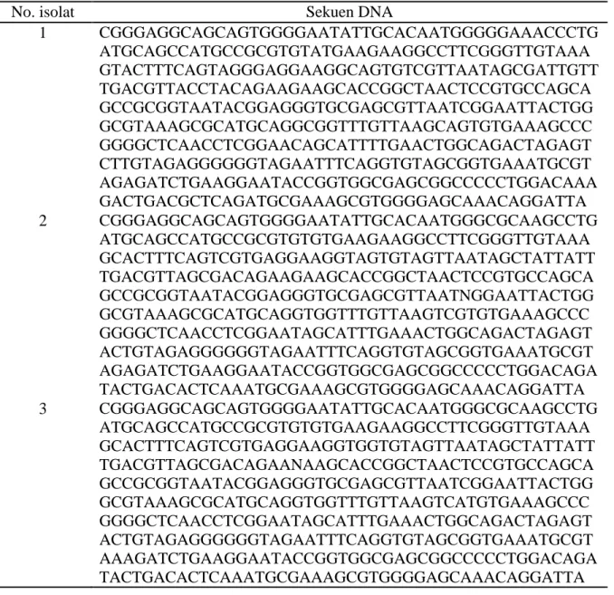 Tabel 1. Sekuen DNA tiga isolat bakteri uji yang digunakan dalam penelitian ini. 