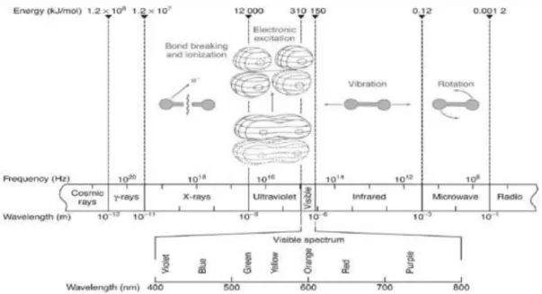 Gambar 4. Spektrum gelombang elektromagnetik lengkap  Arah rambatan sinar