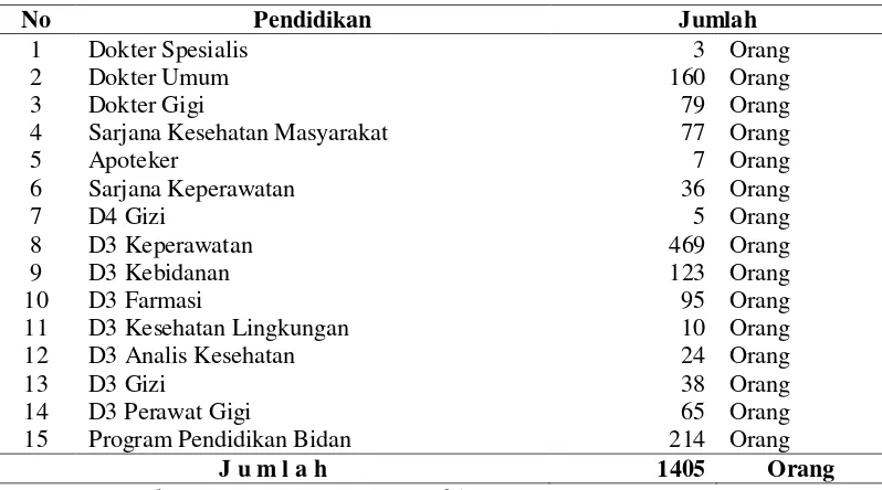 Tabel 4.3 Distribusi Tenaga Kesehatan Puskesmas Kota Medan  