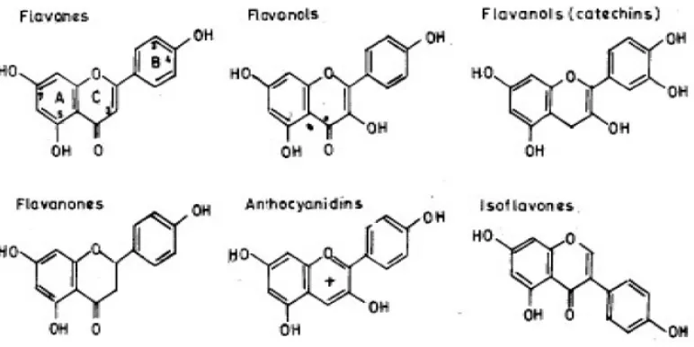 Gambar 2.2. Struktur Kimia Flavonoid (Mahmood et al.,2010) 