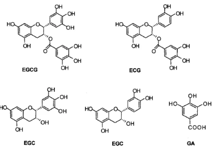 Gambar 2.3. Struktur Kimia Catechin (Carbrera et al., 2006) 