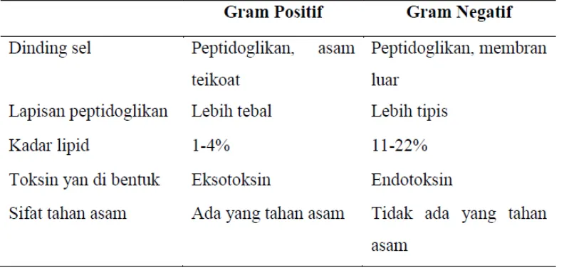 Tabel 2.3. Perbedaan Bakteri Gram Positif dan Bakteri Gram Negatif 