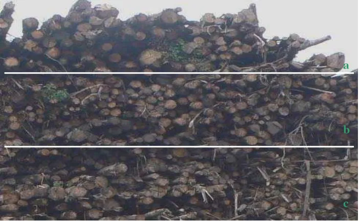 Gambar 2. Tingkat tumpukan kayu pengambilan sampel (a) Tumpukan atas,            (b) Tingkat tengah, dan (c) Tumpukan bawah 
