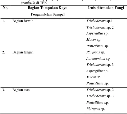 Tabel 2. Jenis-jenis fungi yang diperoleh dari tumpukan kayu Eucalyptus 