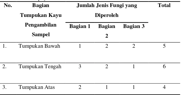 Tabel 3. Jumlah jenis fungi yang diperoleh dari tumpukan kayu Eucalyptus   urophylla di TPK  