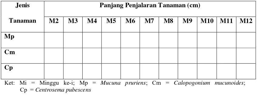 Tabel 1. Tally Sheet Panjang Penjalaran Tanaman 