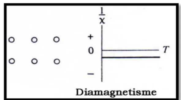 Gambar 2.4 Arah domain dan kurva bahan Diamagnetik 