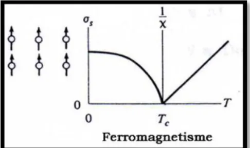 Gambar 2.6 Arah domain dan kurva bahan Ferromagnetik 