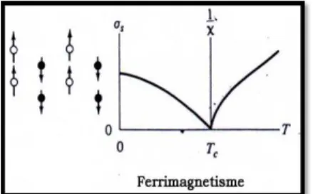 Gambar 2.8 Arah domain dan kurva bahan  Ferrimagnetik. 