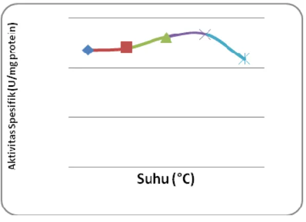 Gambar  2.  Grafik  hubungan  antara  suhu  dan  aktivitas  spesifik  enzim   L-asparaginase