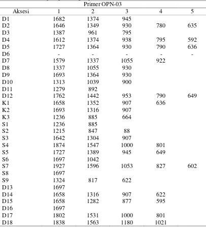 Tabel 11. Ukuran pola pita dengan primer OPN-03 