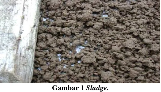 Gambar 1 Sludge. 