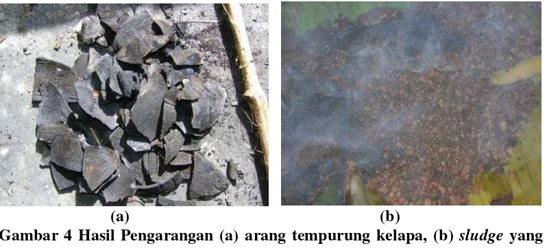 Gambar 4 Hasil Pengarangan (a) arang tempurung kelapa, (b) sludge yang 