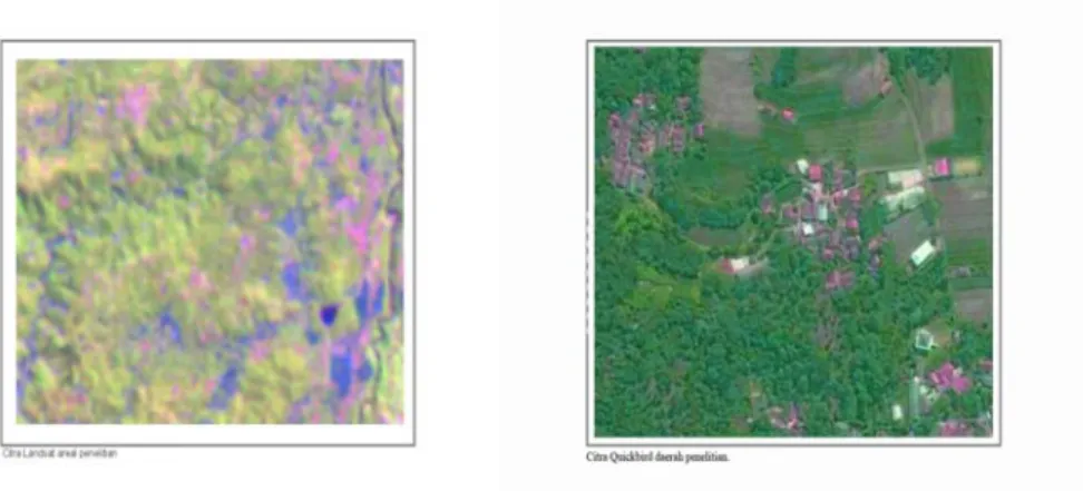 Gambar  12. Citra Landsat dan Citra Quickbird  5.1.2  Pembuatan Peta Kerja dan Peta Dasar 