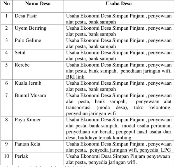 Tabel 1.2 Program BUMDes di Kecamatan Tripe Jaya 