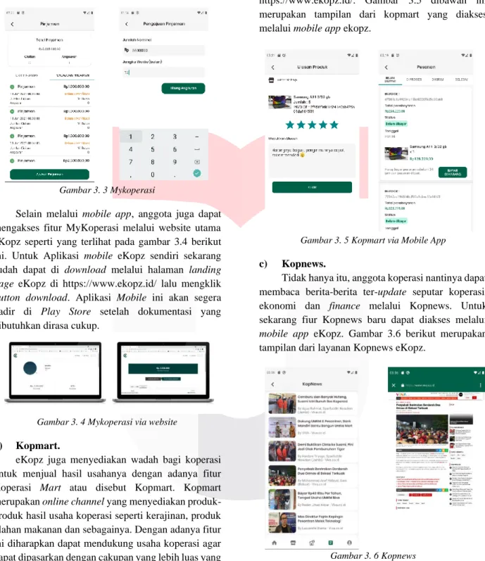 Gambar 3. 3 Mykoperasi 