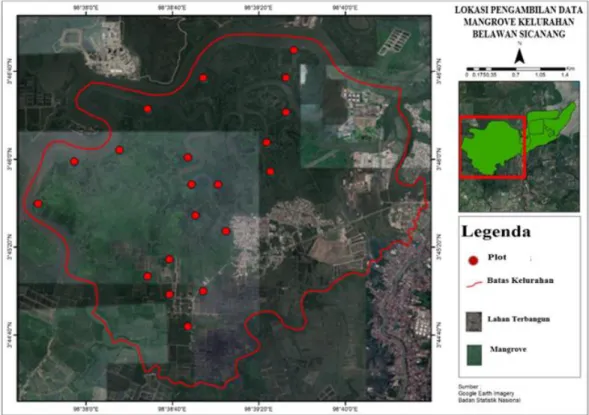 Gambar 3.2. Lokasi Pengambilan Data Mangrove Kelurahan Belawan Sicanang  3.3.2.  Peternakan Ruminansia Kelurahan Belawan Sicanang 