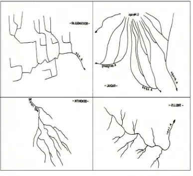 Gambar 1. Pola drainase daerah aliran sungai ( Soewarno, 1991) 