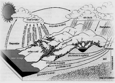 Gambar 3. Siklus Hidrologi (Andreanov dan Trihono, 2003).
