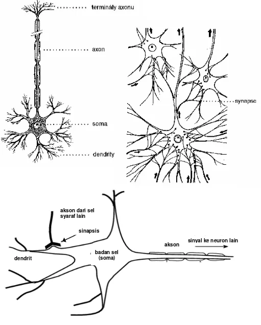 Gambar  NEURON 