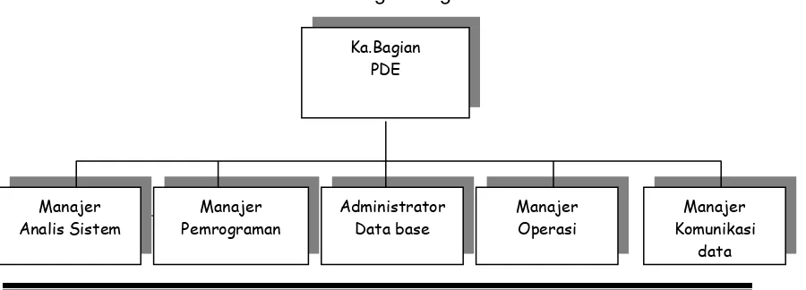 Gambar 1.6 Pola Dasar Bagan Organisasi berbasis IT6