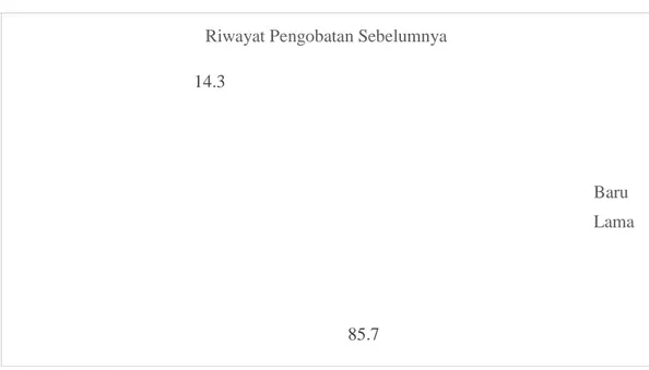 Gambar 9. Diagram pie distribusi proporsi penderita TB paru berdasarkan riwayat  pengobatan sebelumnya yang dirawat jalan di RS Putri Hijau Medan Tahun 2017 