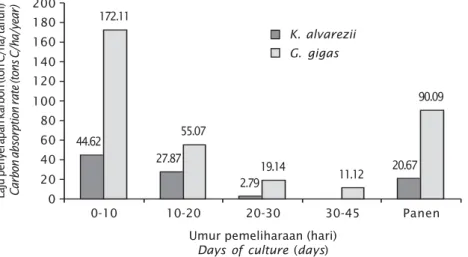 Gambar 1. Laju penyerapan karbon pada rumput laut K. alvarezii dan G. gigas Figure 1. Carbon absorption rate of seaweeds K