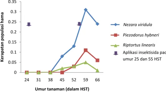 Gambar 3  Perkembangan populasi hama edamame pada fase generatif 