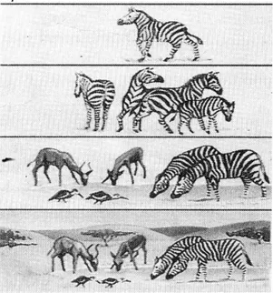 Gambar 2.1 Tingkatan organisme makhluk hidup (Pratiwi, 2004: 230) 