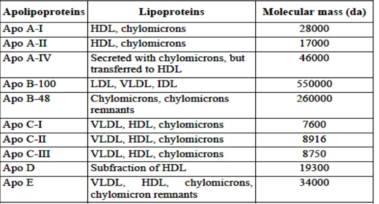 Tabel 4. Apolipoprotein yang muncul pada plasma lipoprotein 