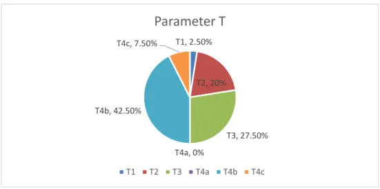 Gambar 4.1.2 Distribusi Frekuensi Klasifikasi TNM Responden untuk Parameter  T (Tumor) 