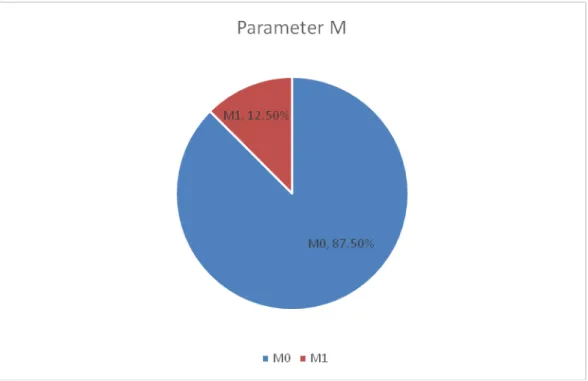 Gambar 4.1.4 Distribusi  Frekuensi Klasifikasi TNM Responden untuk Parameter M  (Metastasis) 