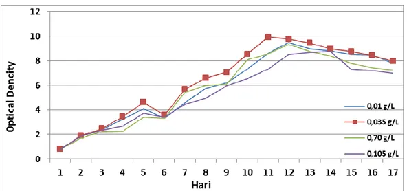 Gambar 3. Pola pertumbuhan kultur Botryococcus braunii pada berbagai penambahan KH 2 PO 4 