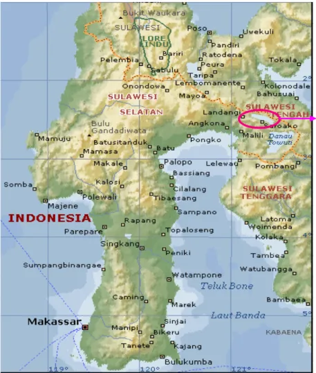 Gambar 1. Peta lokasi penelitian Danau Matano Sulawesi Selatan.