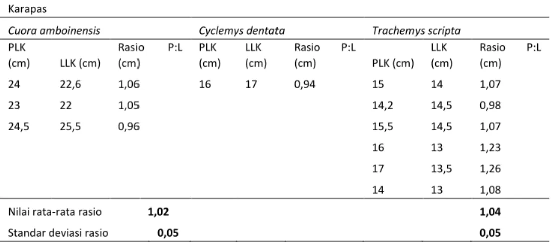 Tabel 2. Rasio Panjang Lengkung Karapas  dan Lebar Lengkung Karapas pada  Cuora amboinensis, Cyclemys  dentata dan Trachemys scripta
