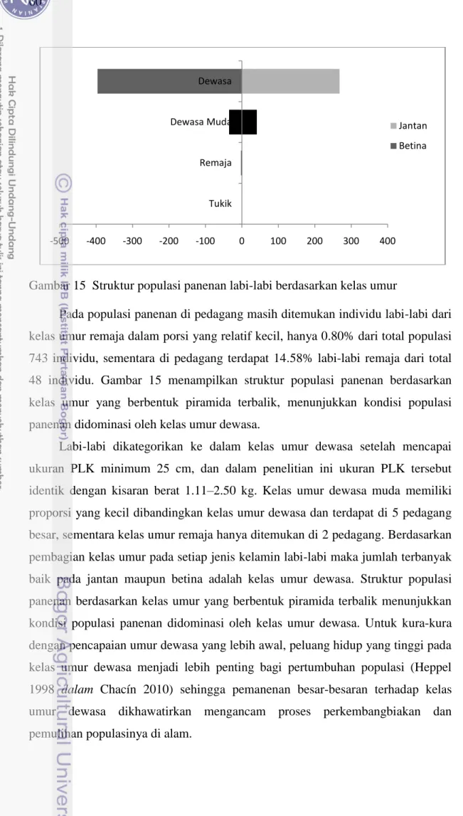 Gambar 15  Struktur populasi panenan labi-labi berdasarkan kelas umur 