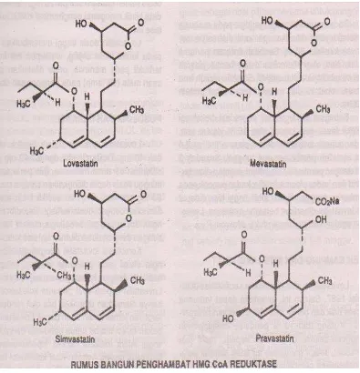 Gambar 2. Rumus bangun penghambat HMG-CoA reduktase 