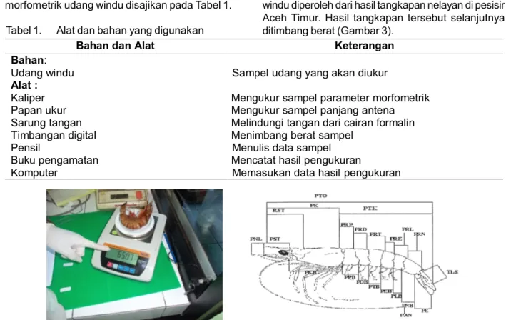 Tabel 1. Alat dan bahan yang digunakan