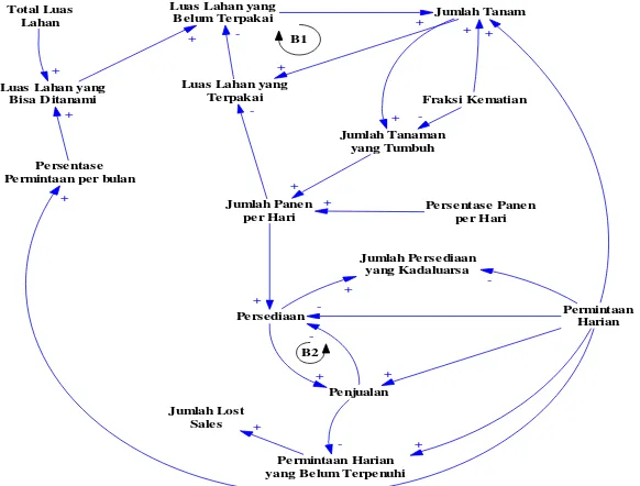 Gambar 1. Causal loop diagram siklus planting-harvesting bunga krisan satu varietas dengan batasan lahan 