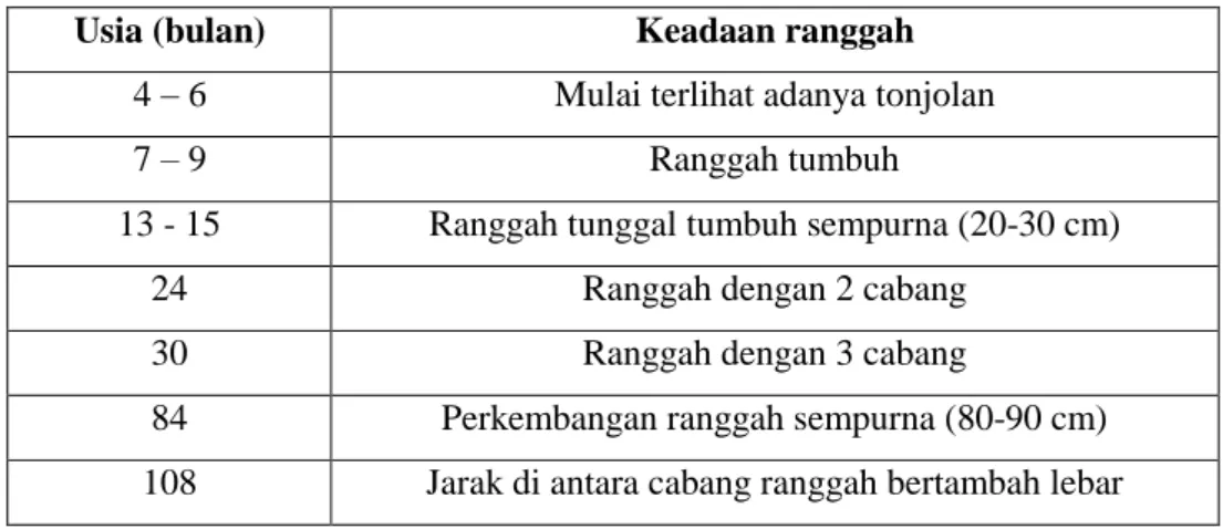 Tabel 1.  Perkembangan ranggah rusa timor jantan berdasarkan usia