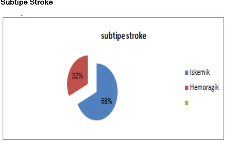 Gambar 7. Diagram  Suku Penderita stroke akut 