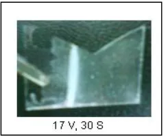 Gambar 3. Lapisan TiO2 yang terbentuk pada: (a) Substrat SS 316 pada  tegangan 10 V dan 20 V, (b) Pada substrat kaca ITO pada  tegangan 10 V dan 15 V