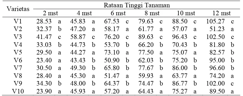 Tabel 1 : Rataan tinggi tanaman padi (cm) umur 2 mst, 4 mst, sebelum di  inokula- 