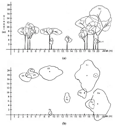 Gambar 5. Diagram Vertikal (a) dan horizontal (b) Profil Vegetasi di lokasi I (1700-1800 mdpl) 