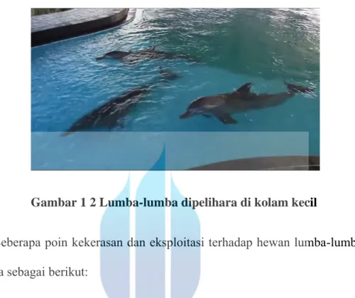 Gambar 1 2 Lumba-lumba dipelihara di kolam kecil 
