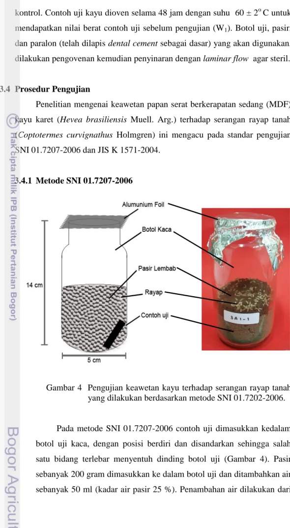Gambar 4  Pengujian keawetan kayu terhadap serangan rayap tanah  yang dilakukan berdasarkan metode SNI 01.7202-2006