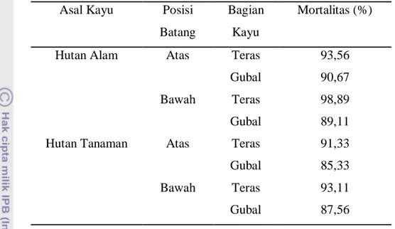 Tabel 5  Persentase mortalitas rayap kayu meranti merah dari hutan alam dan  hutan tanaman 