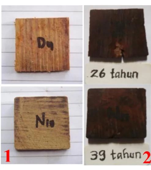 Gambar  3    Contoh  uji  kayu  Ulin  sebelum  (1)  dan  setelah  (2)  pengujian  laboratorium