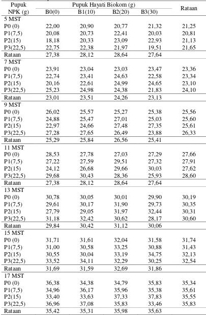 Tabel 1.  Rataan tinggi tanaman pada pemberian pupuk NPK dan pupuk hayati biokom pada umur 5-17 MST(cm) 