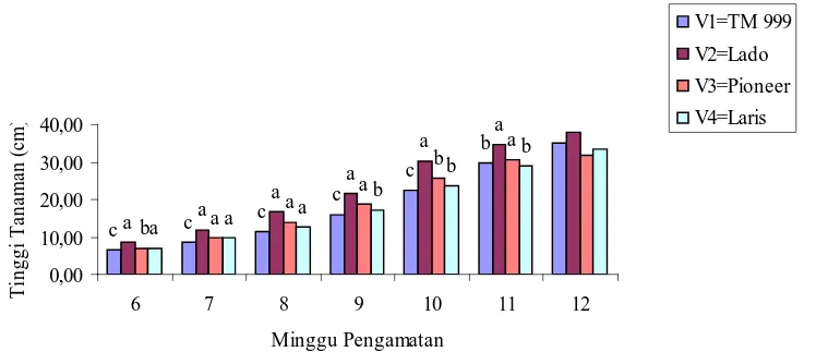 Tabel 1. Rataan Tinggi Tanaman Dari 6 MST – 12 MST (cm). 